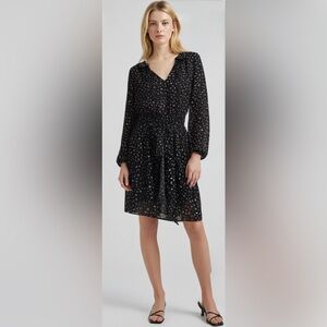 LOFT Black Dress with Sheer Sleeves and White Accents. Size 4